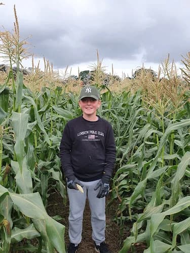 Bjäragården Lantbruk i Västra Karup AB