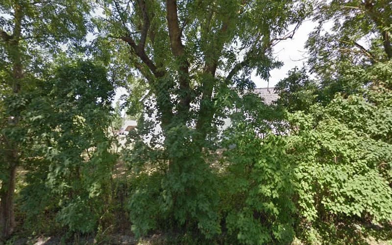 Gårdsbutik, Fårö potatis och lammskinn