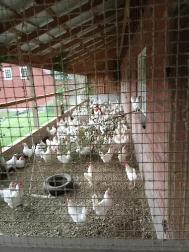 Gräsljunga Gårdsprodukter