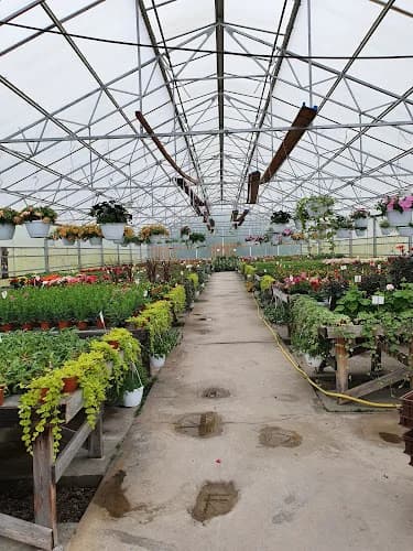 Häggströms Blommor