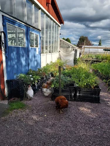 Hildéns Handelsträdgård HB