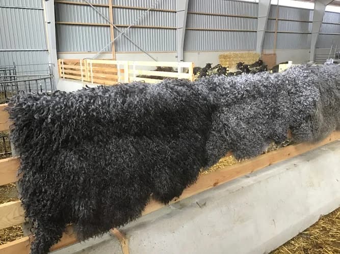 Kälder Gård o Skinnbod