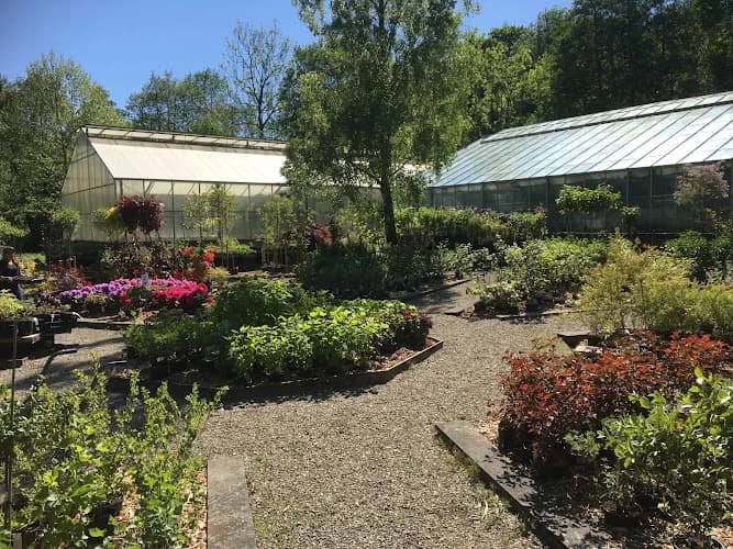 Kiviks Trädgård AB