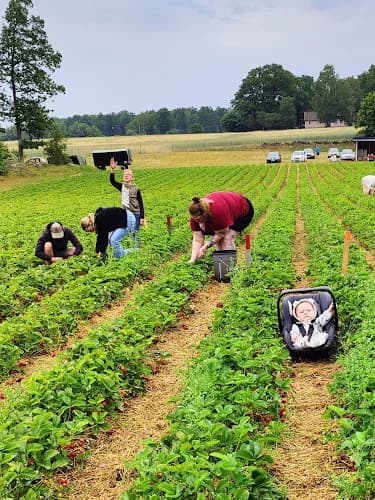 Kvistalånga Lantbruk AB