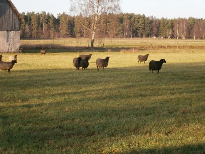 Lammboden Almungsgården