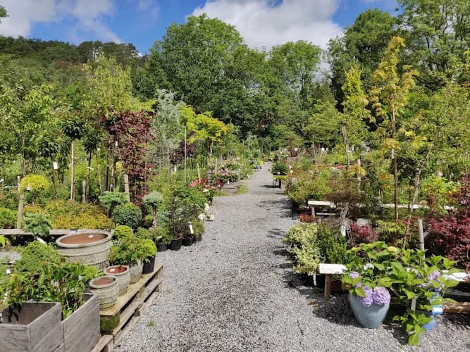 Munkedals Plantskola - Försäljning, Beskärning, Plantering
