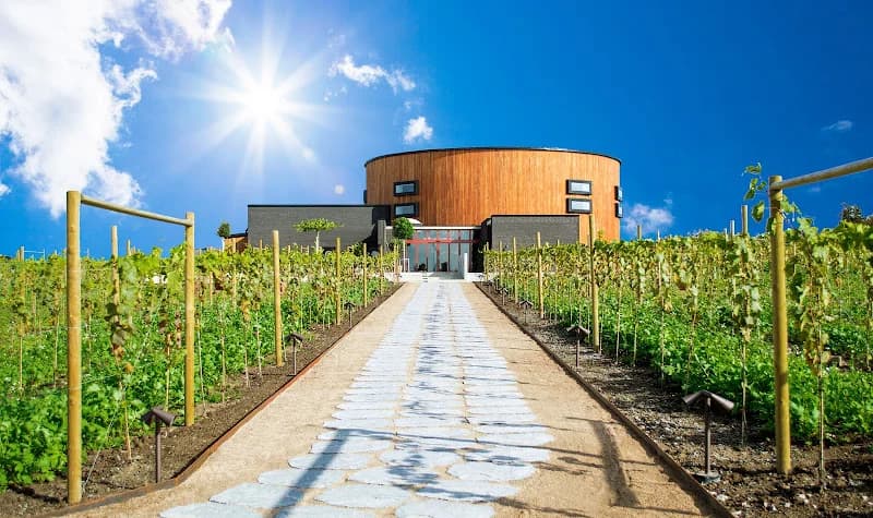 Nordic Sea Winery | Showroom | Restaurant | Winebar