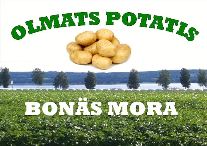 Olmats Potatis