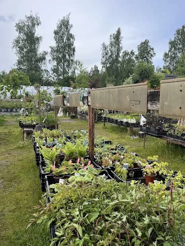 Östansjö Trädgård