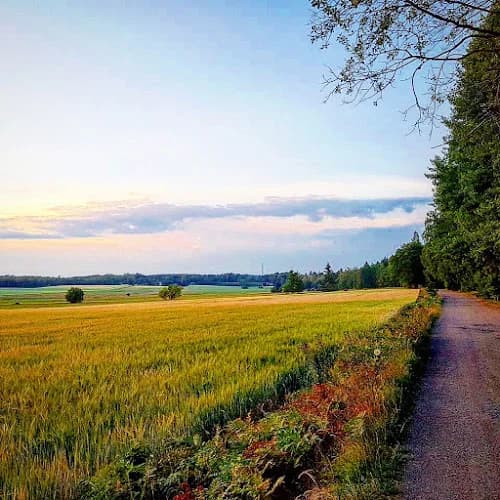 Ramsjö gårdsprodukter