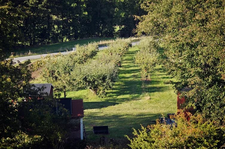 Rörumsro gårdsbutik & musteri