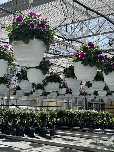 Skavkulla Handelsträdgård