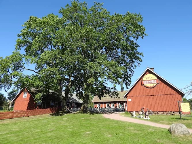 Smålandet Markaryds älgsafari