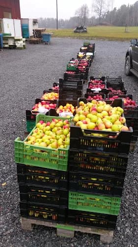 Stavtorps Honung & Musteri