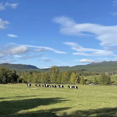 Storhagen Ljusnedal AB