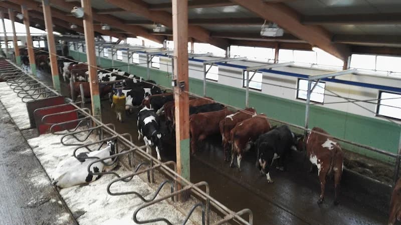 Sundborns Lantbruk AB