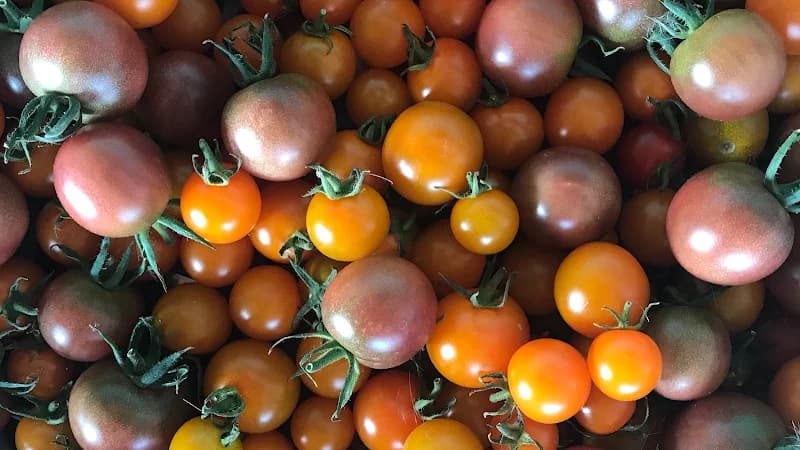 VEGOSTAN Urban Farming Malmö