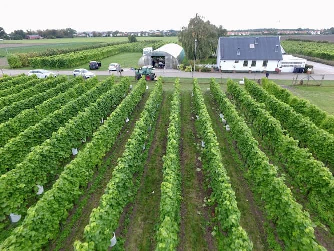 Vingården i Klagshamn