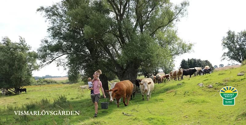 Vismarlövsgården