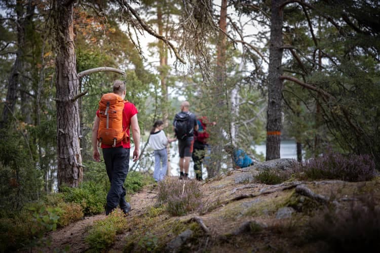 Tivedens nationalpark: Sommar guidad promenad runt Stenkälla