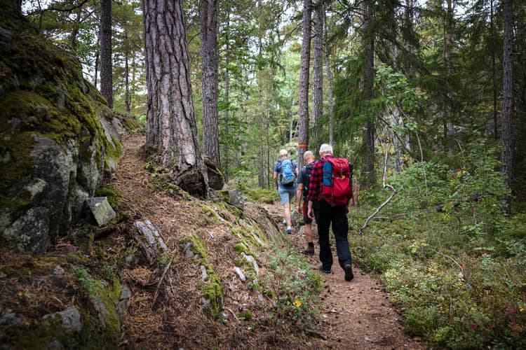 Tiveden National Park: Morgonrundtur med frukost